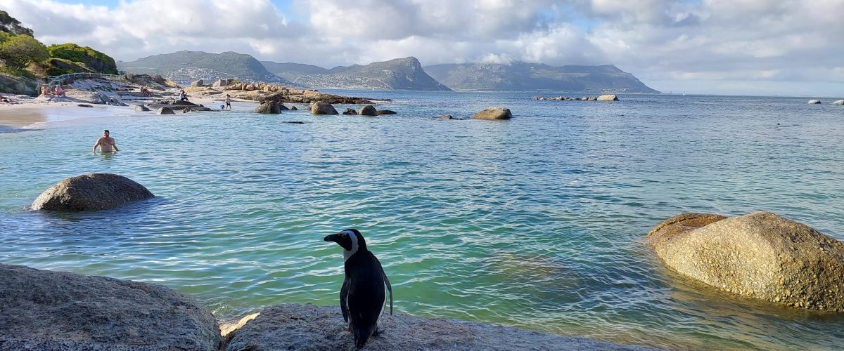 Monthly Car Rental Cape Town Rentals